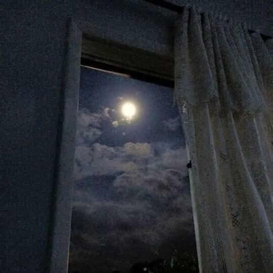 Homestay Casa Krisdalia